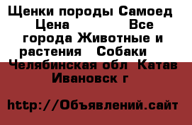 Щенки породы Самоед › Цена ­ 20 000 - Все города Животные и растения » Собаки   . Челябинская обл.,Катав-Ивановск г.